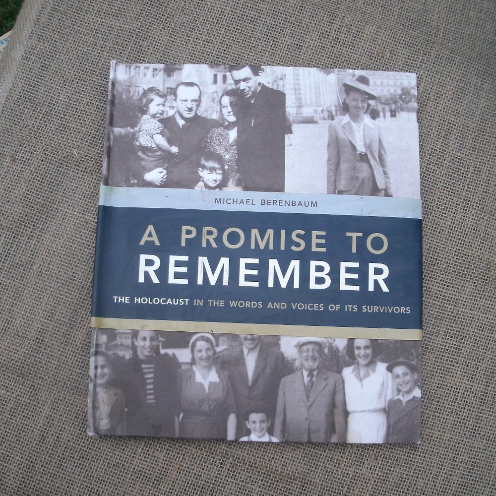 A Promise to Remember  by Michael Berenbaum